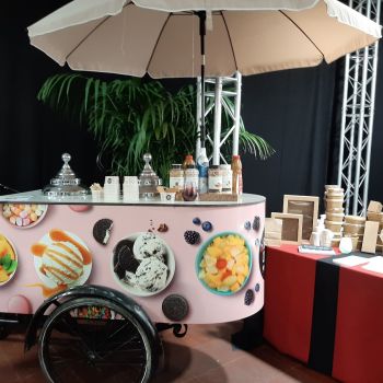 bidfood ijsfiets bidfood ijsfiets